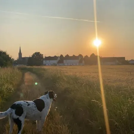 The Old School House * Ceauce