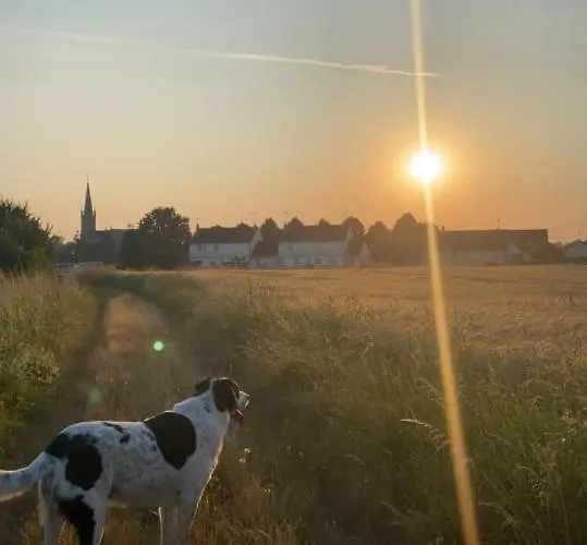The Old School House * Céaucé
